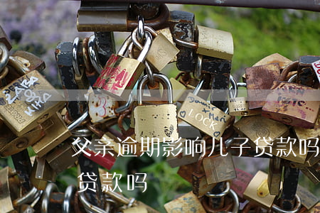 車在父親名下能貸款嗎(父親貸款逾期對我有什么影響)? (http://www.xifuyun.com/) 知識問答 第2張