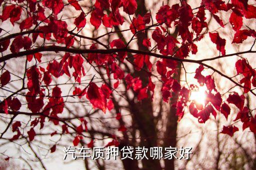 車子綠本抵押貸款平臺(車抵押綠本貸款有什么套路)? (http://www.xifuyun.com/) 知識問答 第3張