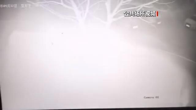 附近押車(附近哪里有押車貸款的)? (http://www.xifuyun.com/) 知識問答 第7張