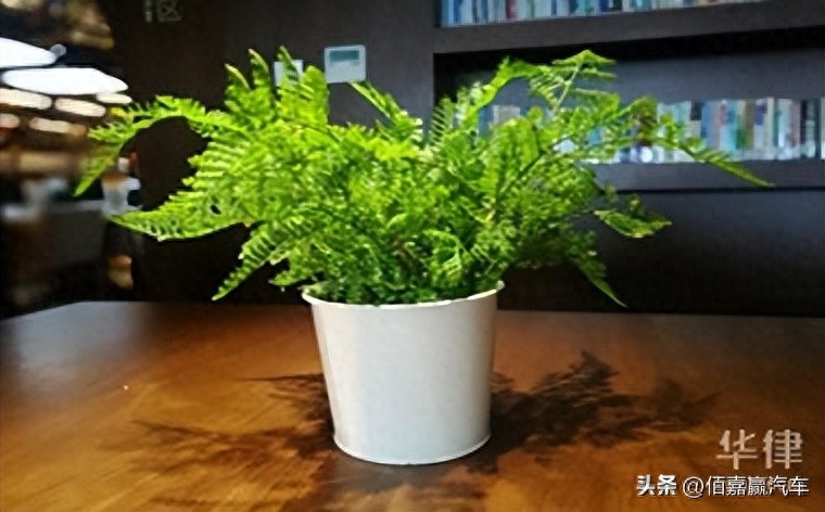 押車(chē)借錢(qián)需要啥手續(xù)(押車(chē)貸款需要什么資料)? (http://www.xifuyun.com/) 知識(shí)問(wèn)答 第1張
