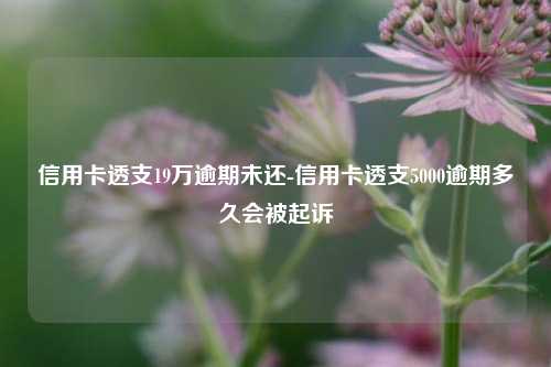 車子抵押貸款要看征信嗎(抵押車貸查征信嗎)? (http://www.xifuyun.com/) 知識問答 第1張