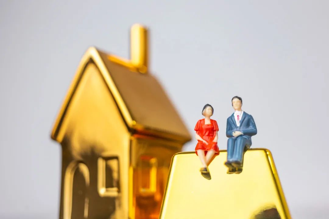 貸多怎么辦(貸辦費怎么收費)? (http://www.xifuyun.com/) 知識問答 第15張