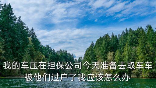 汽車過戶貸款靠譜嗎(希財(cái)網(wǎng)貸款靠譜嗎)? (http://www.xifuyun.com/) 知識(shí)問答 第1張