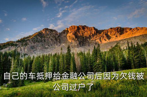 汽車過戶貸款靠譜嗎(希財(cái)網(wǎng)貸款靠譜嗎)? (http://www.xifuyun.com/) 知識(shí)問答 第3張