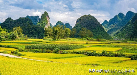 車輛抵押融資(土地違規(guī)抵押融資整改)? (http://www.xifuyun.com/) 知識(shí)問答 第2張