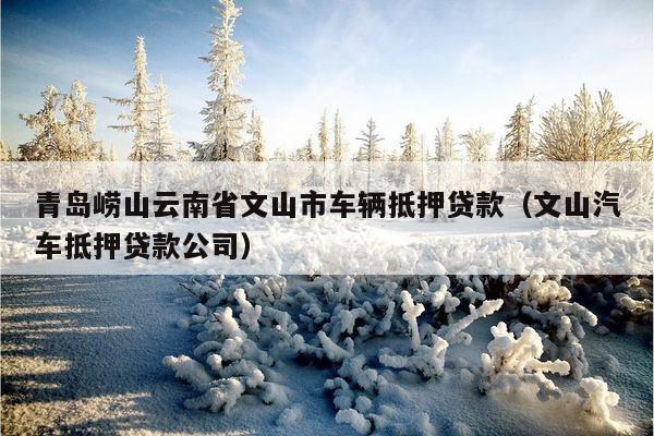 蘇州金山汽車抵押融資(涉土地違規抵押融資)? (http://www.xifuyun.com/) 知識問答 第1張