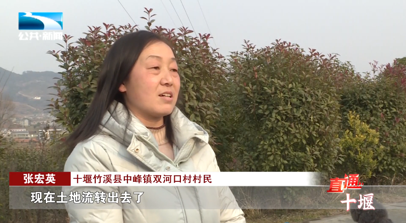 汽車抵押融資哪里好(車輛抵押融資)? (http://www.xifuyun.com/) 知識問答 第11張