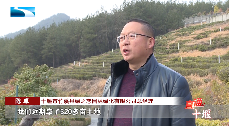 汽車抵押融資哪里好(車輛抵押融資)? (http://www.xifuyun.com/) 知識問答 第14張