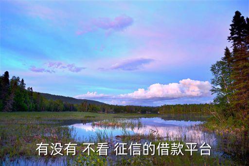 不看負債和征信的融資(融資征信)? (http://www.xifuyun.com/) 知識問答 第1張