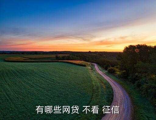 不看負債和征信的融資(融資征信)? (http://www.xifuyun.com/) 知識問答 第2張