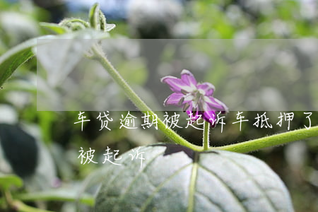 車子抵押貸款怎么貸(抵押貸款汽車)? (http://www.xifuyun.com/) 知識(shí)問答 第2張
