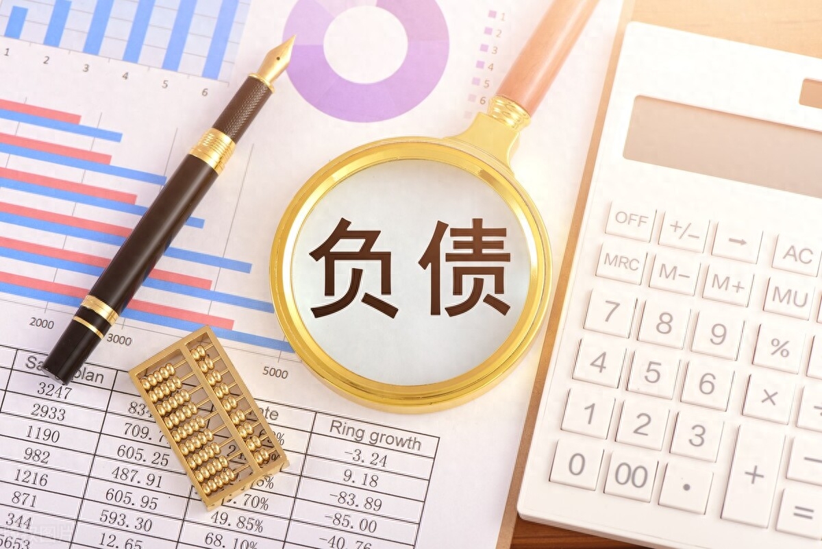 不查征信和負(fù)債的正規(guī)貸款(負(fù)債征信查詢)? (http://www.xifuyun.com/) 知識(shí)問答 第3張