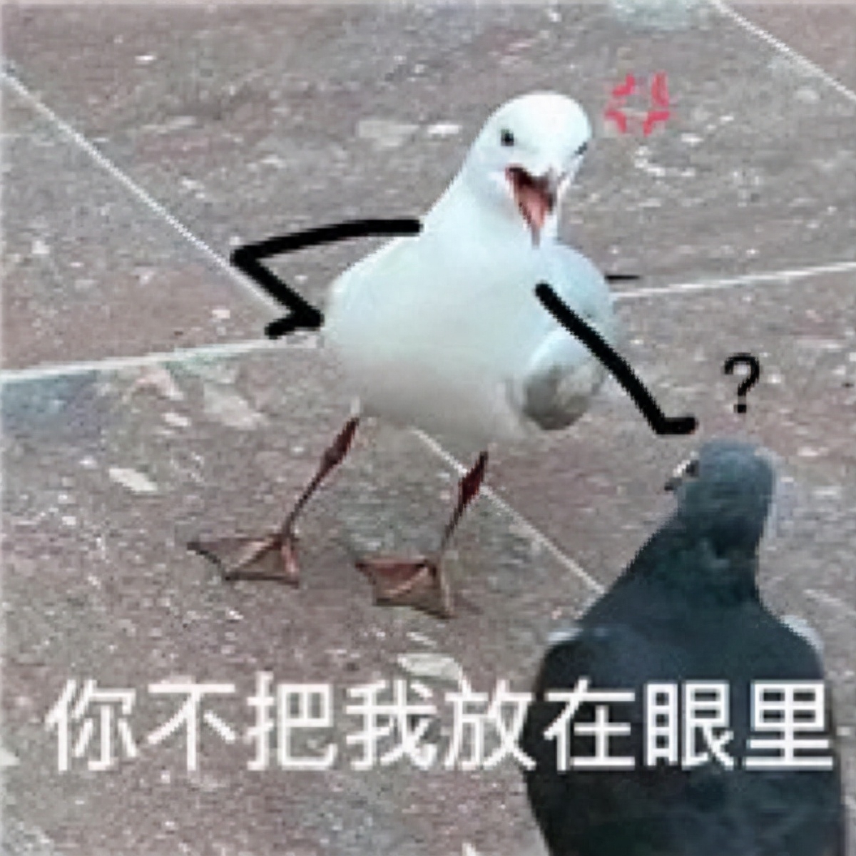 不押車不看征信貸款(押車貸款看征信嗎)? (http://www.xifuyun.com/) 知識問答 第1張