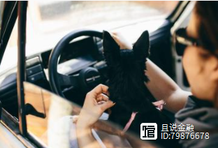 車子抵押借錢(抵押車子借錢合同)? (http://www.xifuyun.com/) 知識問答 第5張