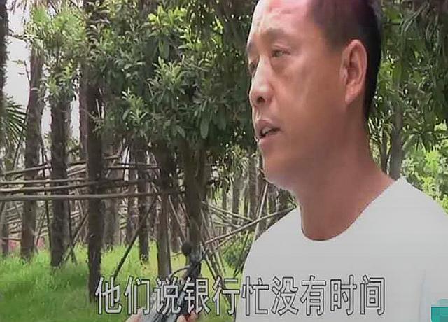 抵押汽車綠本能貸多少錢(車輛抵押綠本可以借出來嗎)? (http://www.xifuyun.com/) 知識問答 第2張