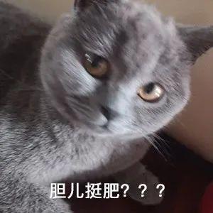 閔行區那里有車子抵押貸款的(上海汽車抵押貸)? (http://www.xifuyun.com/) 知識問答 第1張