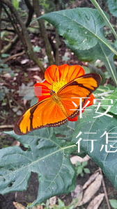 平安車主貸款怎么貸需要什么條件(平安車主貸要去銀行弄嗎)? (http://www.xifuyun.com/) 知識問答 第2張