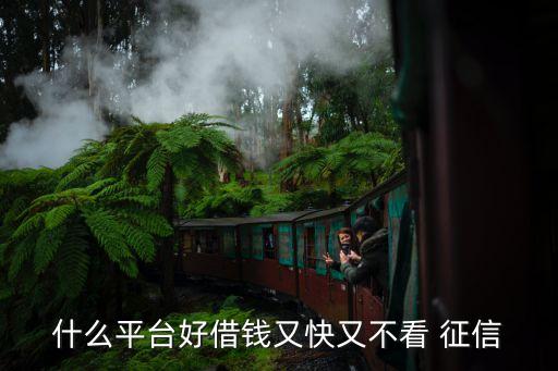 不查征信的網貸(網貸征信查多了多久能恢復)? (http://www.xifuyun.com/) 知識問答 第1張