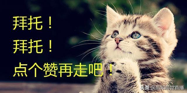 車抵押貸款不押車(車抵押貸款)? (http://www.xifuyun.com/) 知識問答 第2張