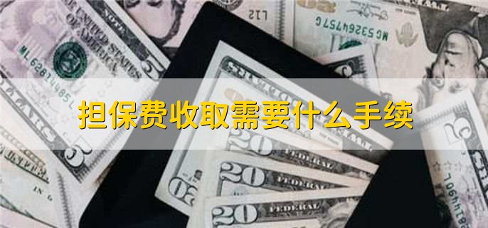 貸款擔保公司一般怎么收費(擔保公司貸款服務費收取標準)? (http://www.xifuyun.com/) 知識問答 第2張