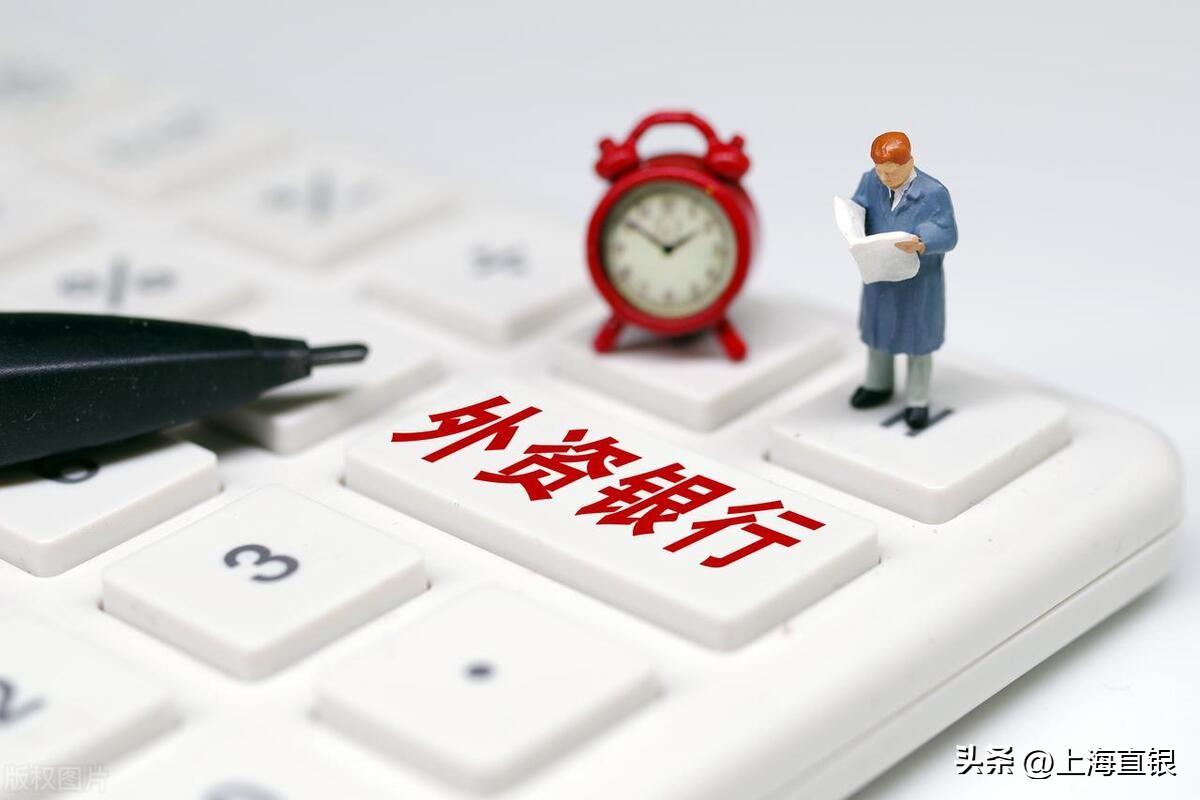 上海不看征信貸款公司(上海公司征信報告)? (http://www.xifuyun.com/) 知識問答 第3張
