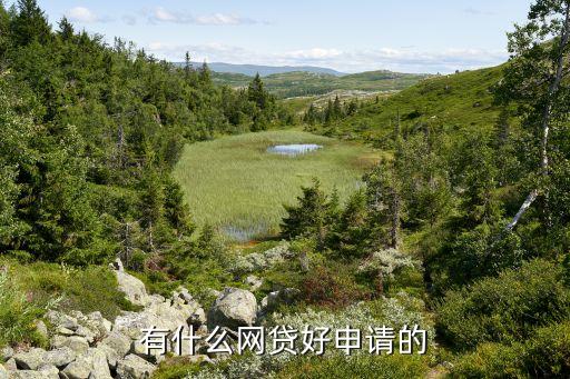 正規(guī)網(wǎng)絡(luò)貸款平臺(tái)哪個(gè)靠譜好申請(qǐng)(貸款正規(guī)的平臺(tái))? (http://www.xifuyun.com/) 知識(shí)問(wèn)答 第2張