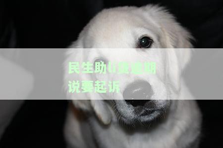 助貸公司貸款沒批下來(助貸批貸款下來沒公司怎么辦)? (http://www.xifuyun.com/) 知識問答 第1張
