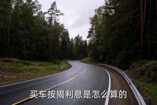 車貸利率(車貸了利率)? (http://www.xifuyun.com/) 知識(shí)問答 第2張