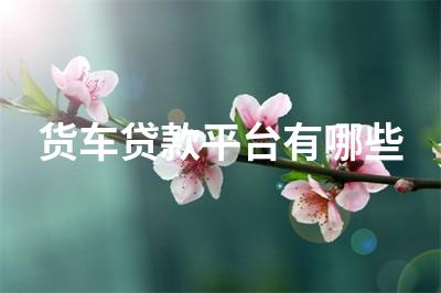 車子不抵押貸款(抵押車子貸款有什么風險)? (http://www.xifuyun.com/) 知識問答 第1張