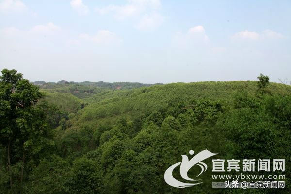 宜賓汽車抵押貸款(宜賓抵押車價格)? (http://www.xifuyun.com/) 知識問答 第3張