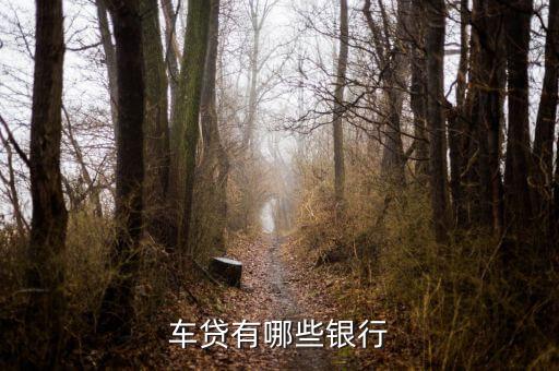 上海車輛貸款公司(上海汽車貸款公司業務)? (http://www.xifuyun.com/) 知識問答 第2張