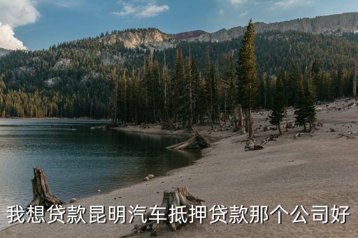 上海車子抵押貸款哪里可以做(上海的抵押車能買嗎)? (http://www.xifuyun.com/) 知識問答 第2張