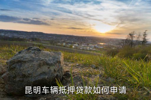 上海車子抵押貸款哪里可以做(上海的抵押車能買嗎)? (http://www.xifuyun.com/) 知識問答 第3張