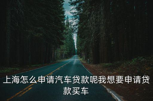 上海車牌貸款怎樣申請(上海車牌貸款申請了能取消嗎)? (http://www.xifuyun.com/) 知識問答 第1張