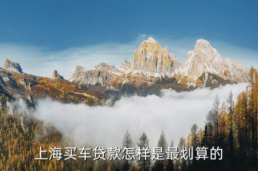 上海車牌貸款怎樣申請(上海車牌貸款申請了能取消嗎)? (http://www.xifuyun.com/) 知識問答 第2張