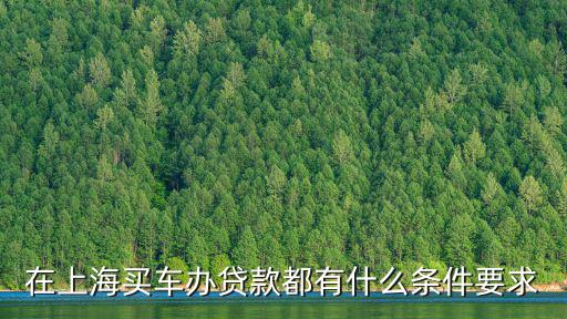 上海車牌貸款怎樣申請(上海車牌貸款申請了能取消嗎)? (http://www.xifuyun.com/) 知識問答 第3張