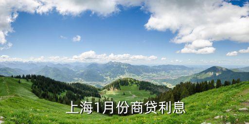 上海車貸利率是多少(上海車子貸款)? (http://www.xifuyun.com/) 知識問答 第2張