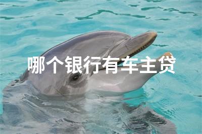 用車貸款哪個平臺靠譜(用車貸款的平臺)? (http://www.xifuyun.com/) 知識問答 第1張