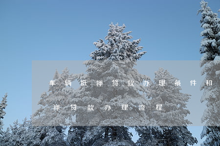 汽車抵押貸款需要什么手續和條件(抵押車輛貸款需要什么)? (http://www.xifuyun.com/) 知識問答 第1張