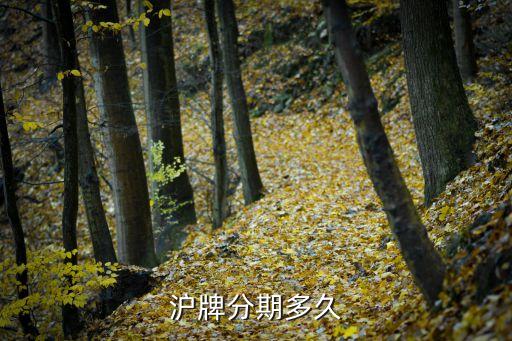 滬牌貸款(滬牌貸款合算嗎)? (http://www.xifuyun.com/) 知識(shí)問答 第2張