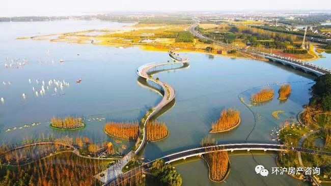 附近貸款公司(我附近的貸款公司電話地址)? (http://www.xifuyun.com/) 知識問答 第5張