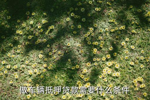 公司車抵押(抵押車公司戶好還是個人戶好)? (http://www.xifuyun.com/) 知識問答 第1張