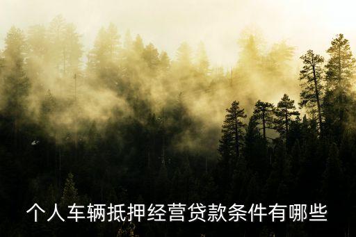 公司車抵押(抵押車公司戶好還是個人戶好)? (http://www.xifuyun.com/) 知識問答 第2張