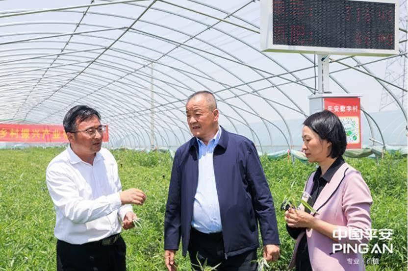平安普惠(普惠平安保險)? (http://www.xifuyun.com/) 知識問答 第22張