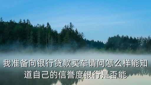 汽車貸款那家銀行的不知道怎么辦(貸款買車銀行會打電話給家人嗎)? (http://www.xifuyun.com/) 知識問答 第3張