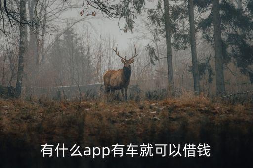 什么軟件可以代還車(chē)貸(貸代車(chē)軟件可以注銷(xiāo)嗎)? (http://www.xifuyun.com/) 知識(shí)問(wèn)答 第2張