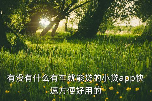 什么軟件可以代還車(chē)貸(貸代車(chē)軟件可以注銷(xiāo)嗎)? (http://www.xifuyun.com/) 知識(shí)問(wèn)答 第3張