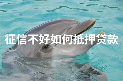 征信不好不押車貸款(押征信貸款車好過戶嗎)? (http://www.xifuyun.com/) 知識問答 第1張