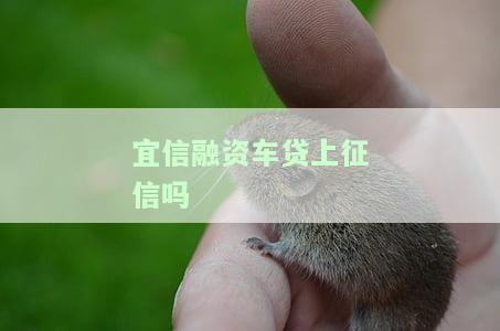 易車貸(易車貸)? (http://www.xifuyun.com/) 知識問答 第1張