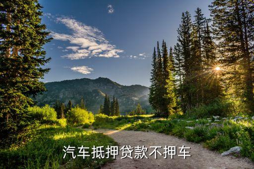 車輛抵押貸款哪個平臺利息最低(專業汽車抵押貸款利息低)? (http://www.xifuyun.com/) 知識問答 第1張
